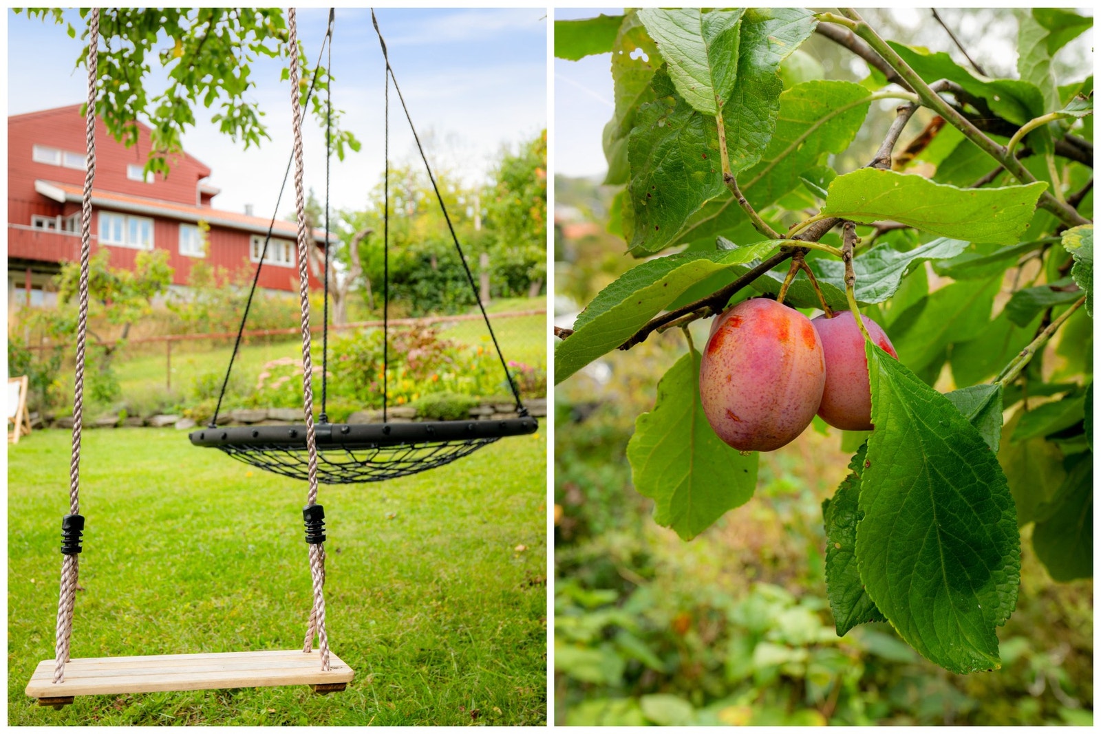 God boltreplass og lekevennlige omgivelser. Galleribilde