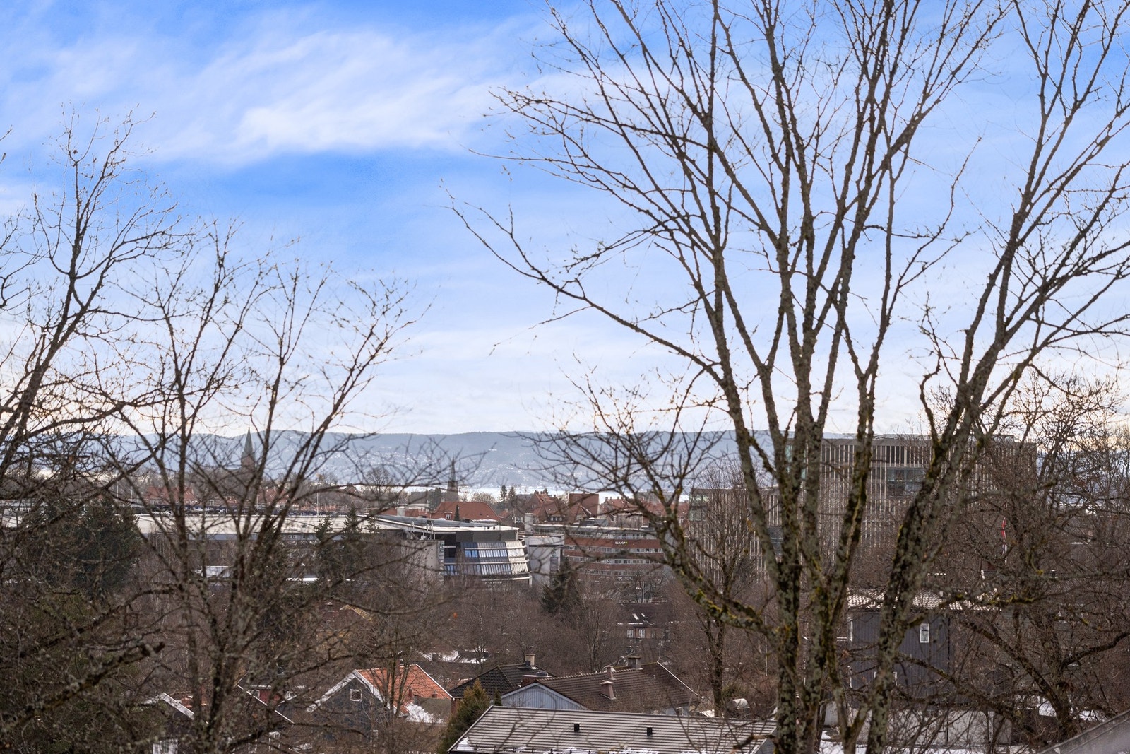 Vid utsikt på vinterstid mot fjorden. Galleribilde