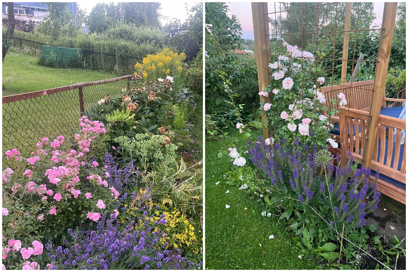 Selgers bilde. Galleribilde