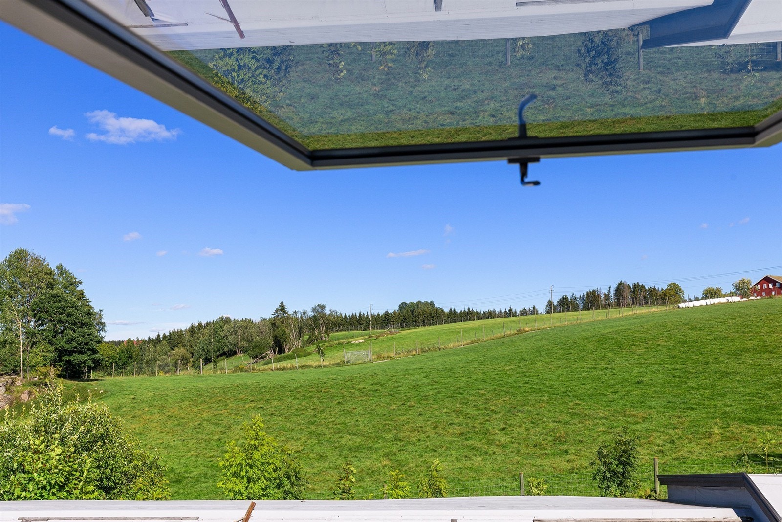 Utsikt fra soverommet med hjort som nære naboer Galleribilde