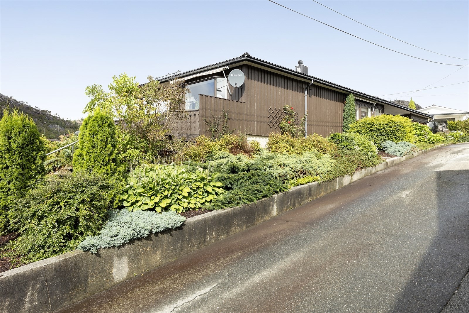 Fin beplanting Galleribilde