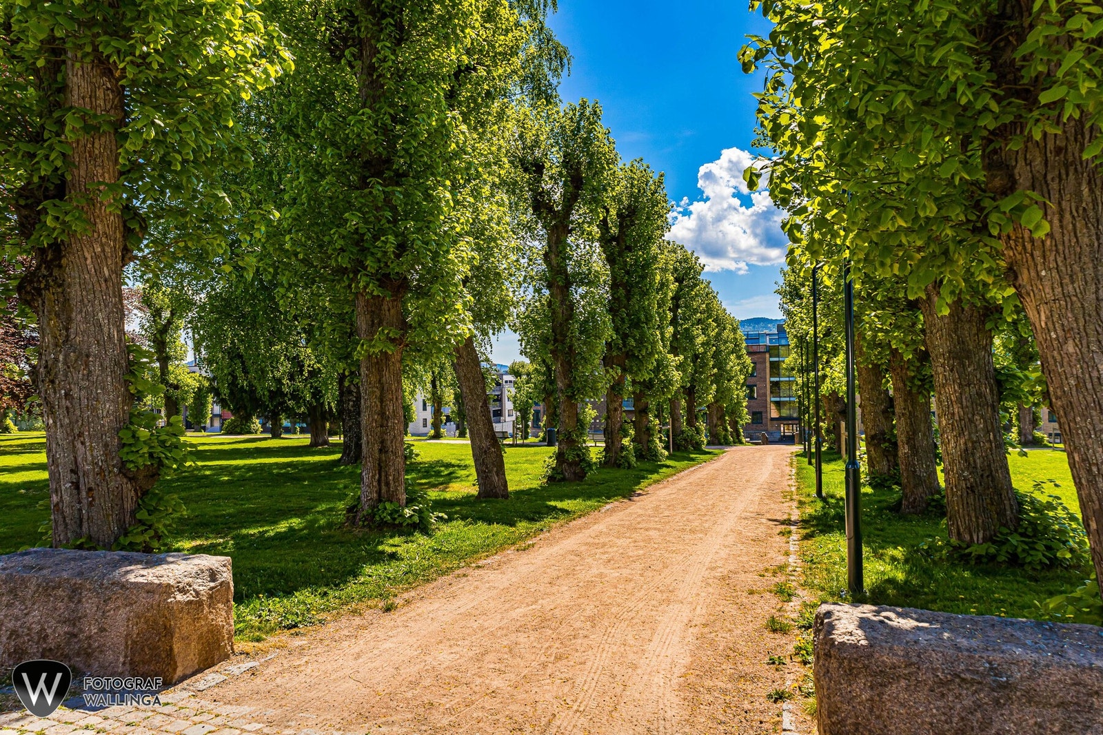 Umiddelbar nærhet til Kirkegårdsparken - veldig praktisk for deg med husdyr. Galleribilde