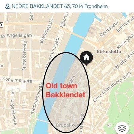 Sentralt Galleribilde