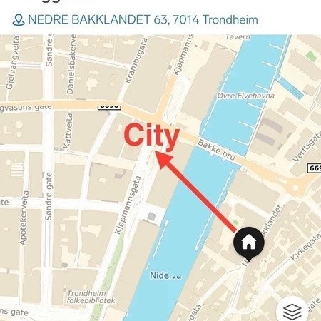 Sentralt Galleribilde