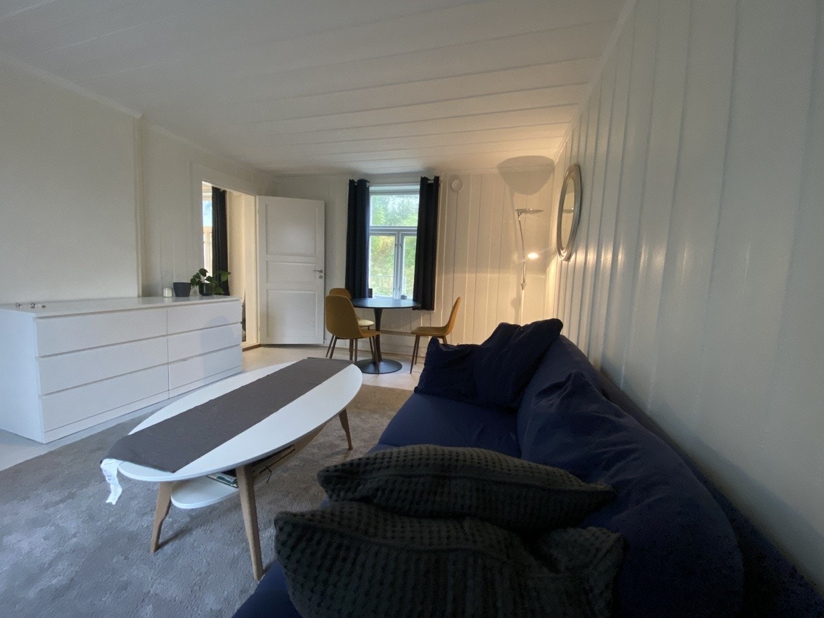 Stor stue Galleribilde