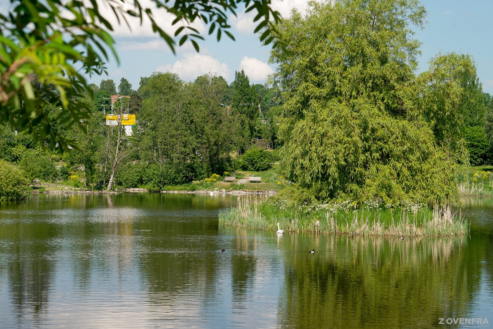 Nærområdet Galleribilde