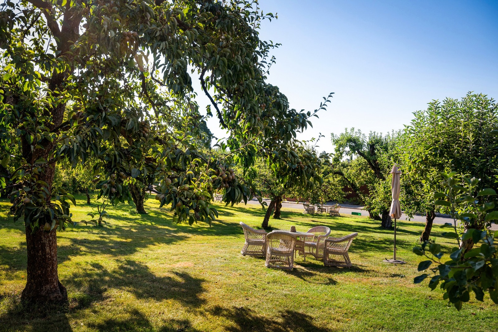 Sameiet har store og pent opparbeidede fellesområder. Galleribilde