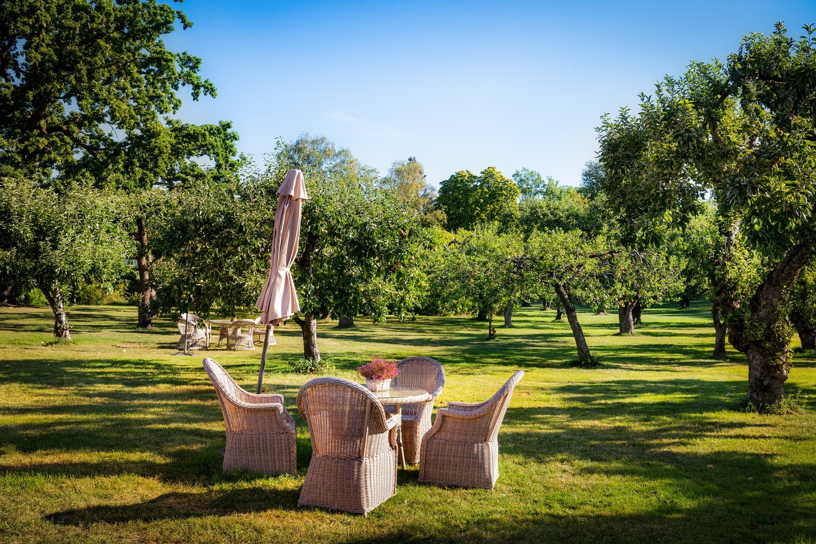 Fellesarealer. Galleribilde