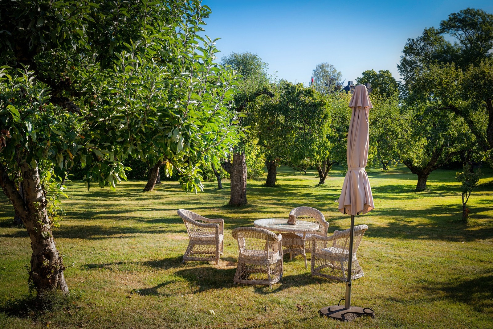 Sommerbilde av sameiets hyggelige fellesarealer. Galleribilde