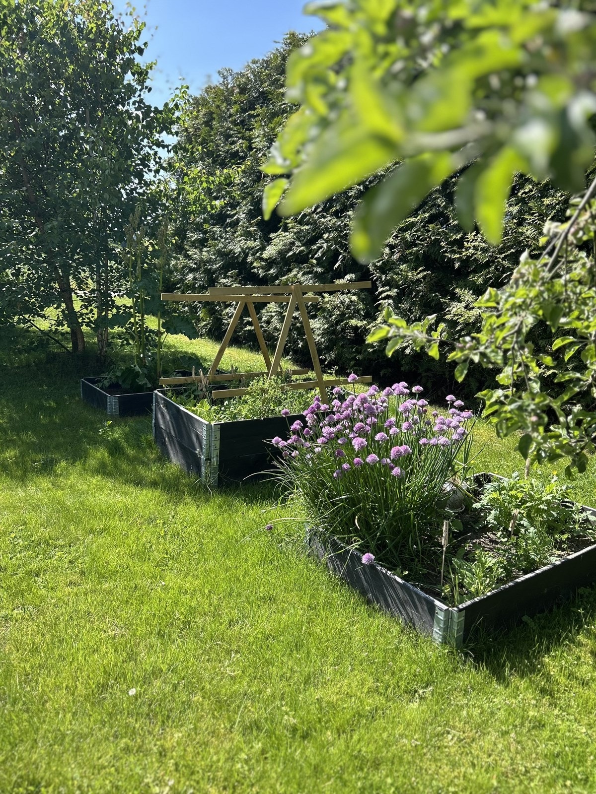 Foto tatt av selger. Galleribilde