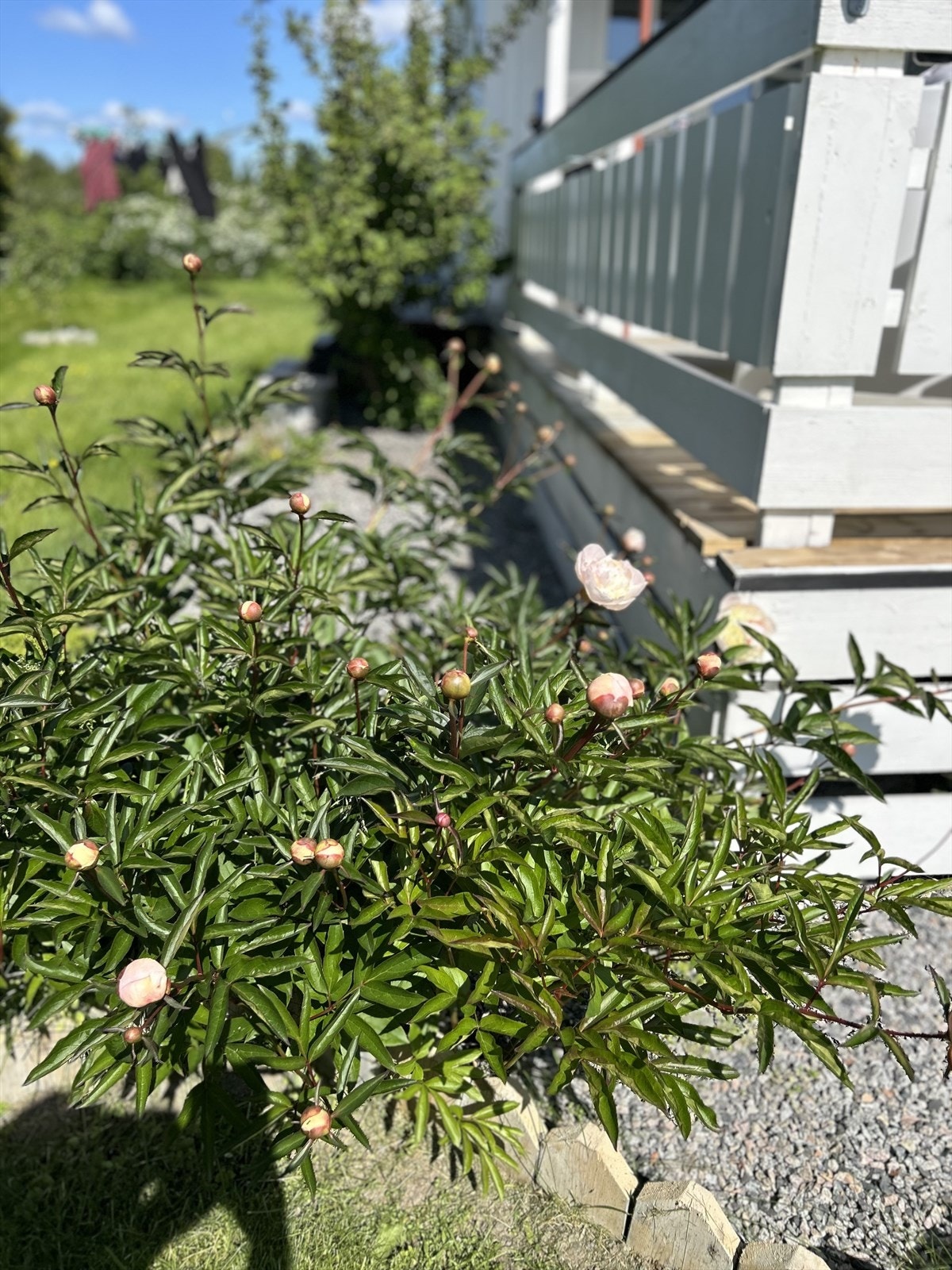 Foto tatt av selger. Galleribilde