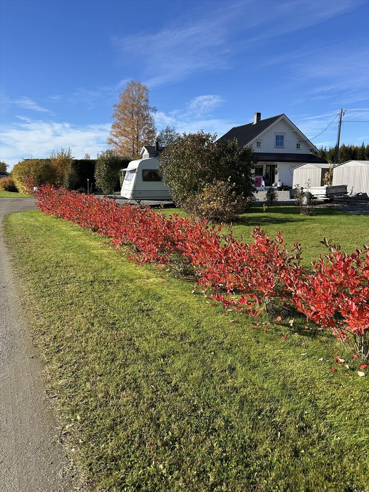 Foto tatt av selger. Galleribilde
