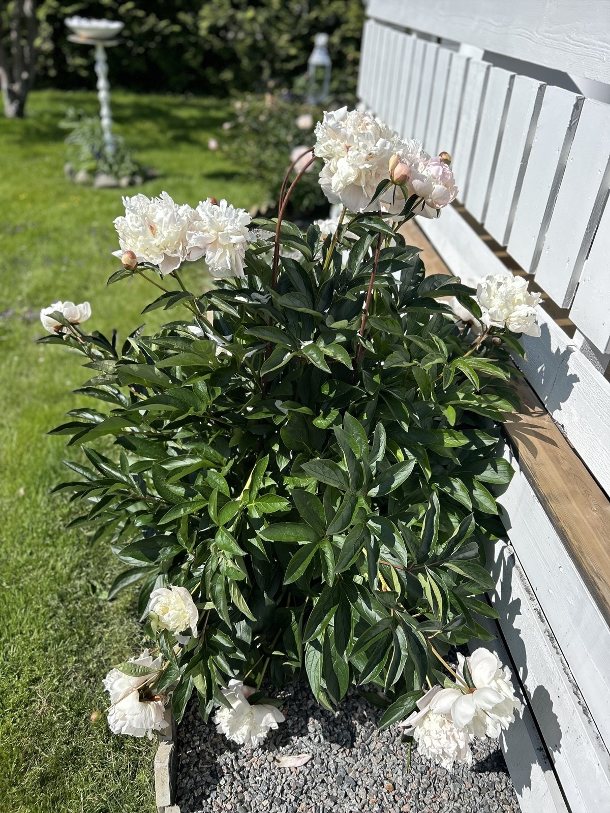 Foto tatt av selger. Galleribilde