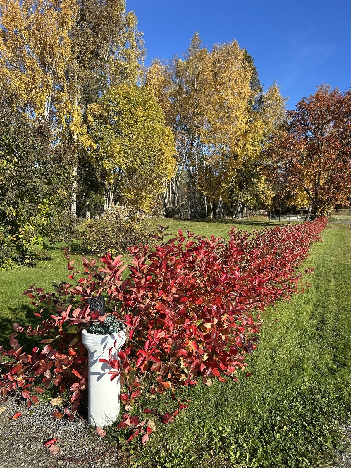 Foto tatt av selger. Galleribilde