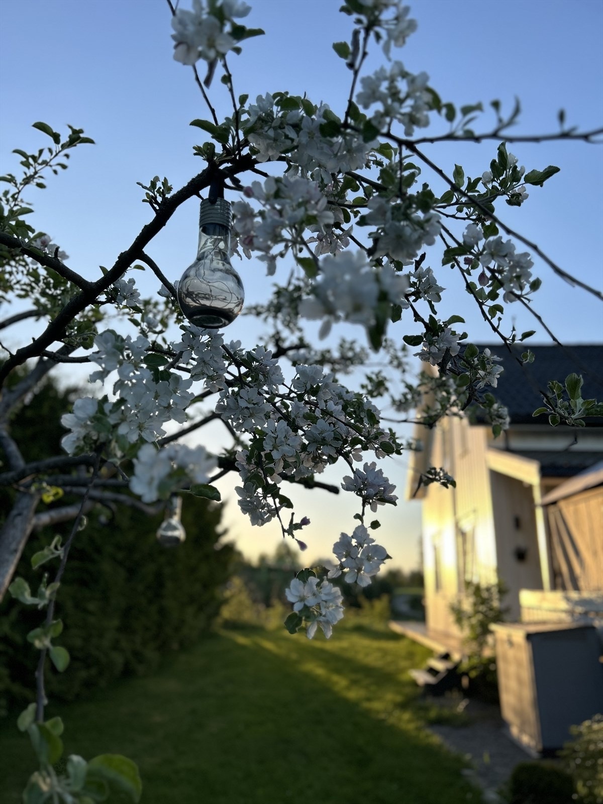 Foto tatt av selger. Galleribilde