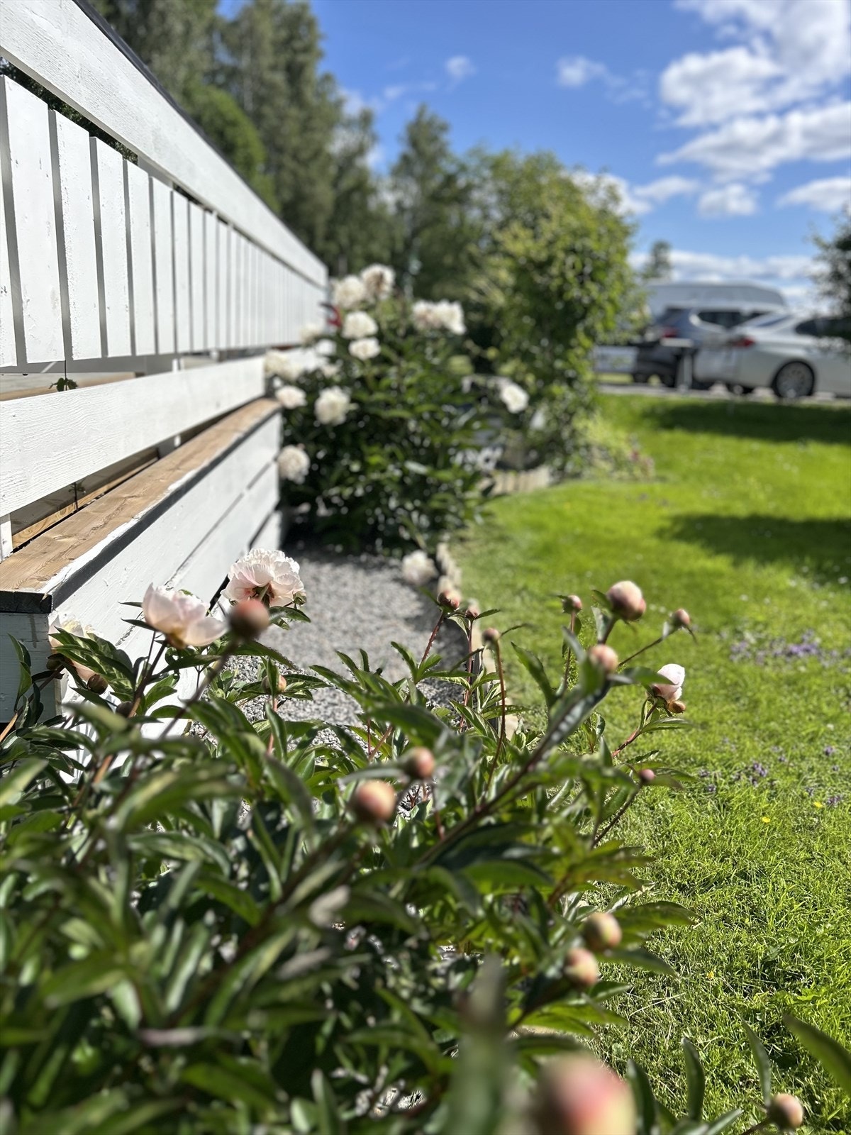 Foto tatt av selger. Galleribilde