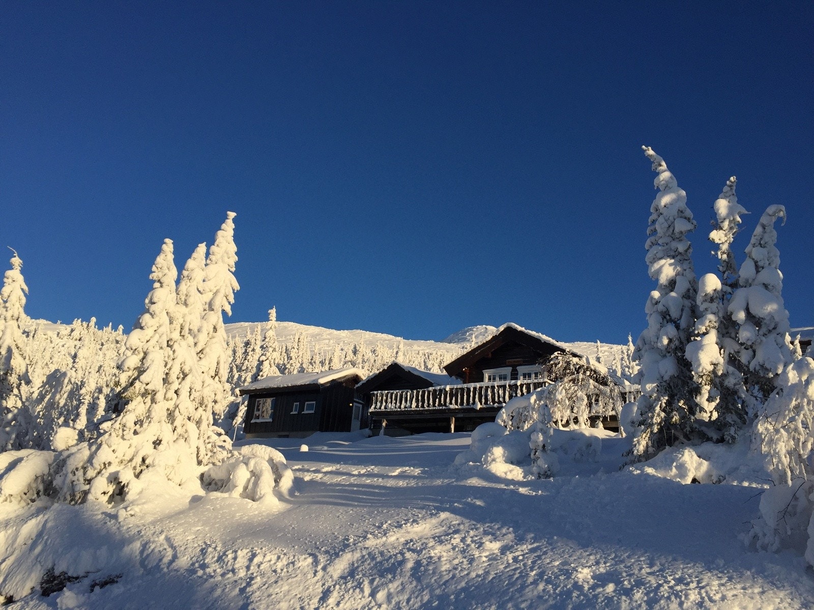 Vinteren i høyfjellet er også minst like fin. Galleribilde