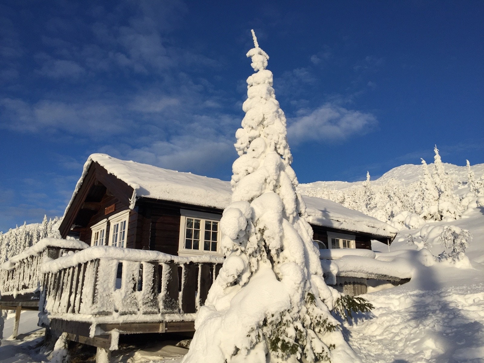Fantastisk helårshytte i et vanligvis snøsikkert område. Galleribilde
