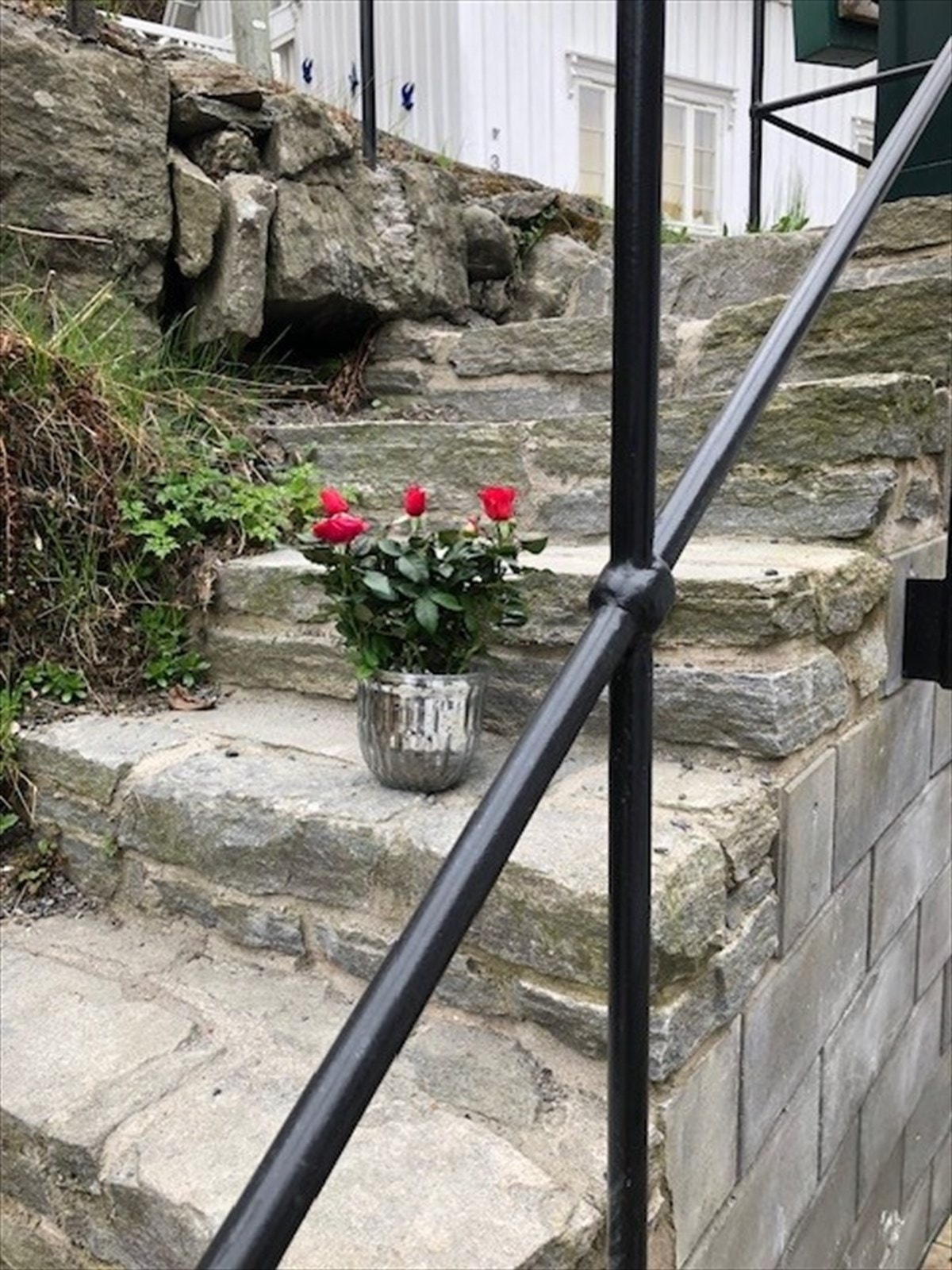 Trapp ned til terrasse og inngangsparti fra Kirkekleiva. Galleribilde