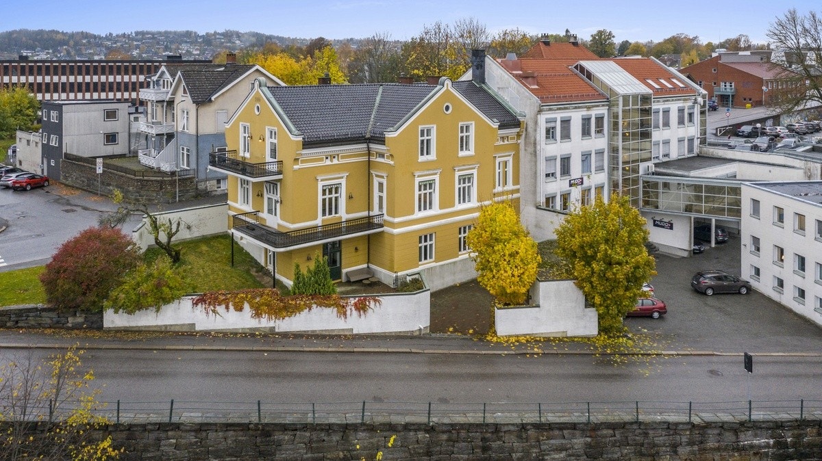 Vi har digital visning og fysisk! Tak kontakt med oss Galleribilde