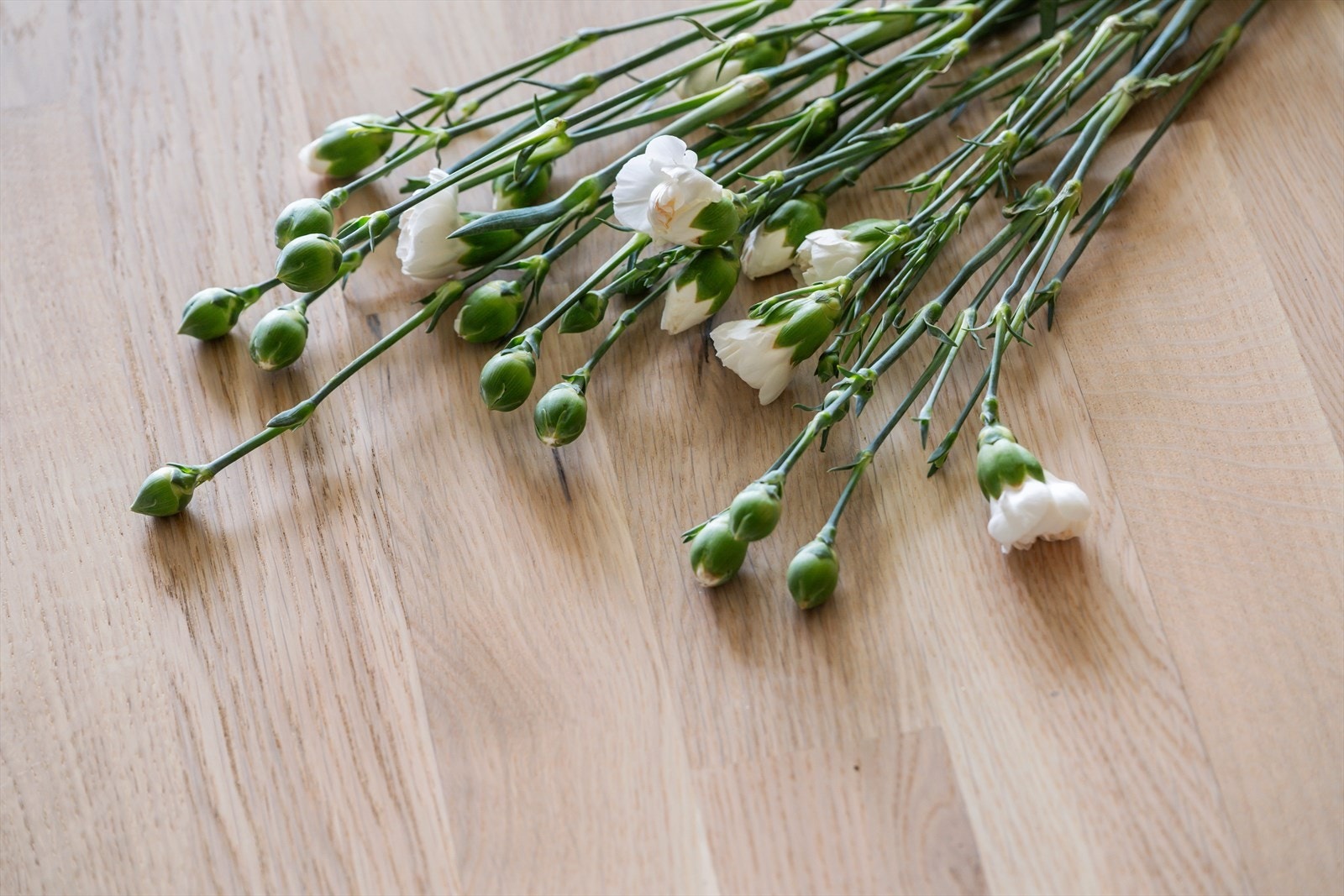 Detaljer. Galleribilde