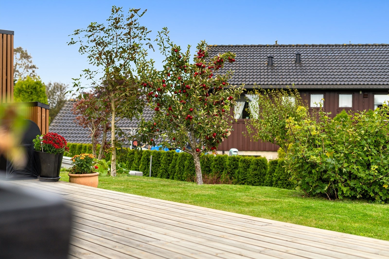 Frodig hage med fin beplantning og prydbusker Galleribilde