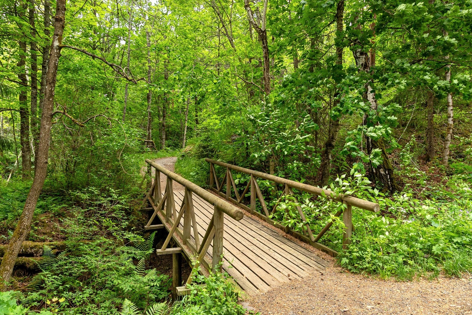 Bragernesåsen er en perle, og fra leiligheten kan du gå innover i Finnemarka Galleribilde