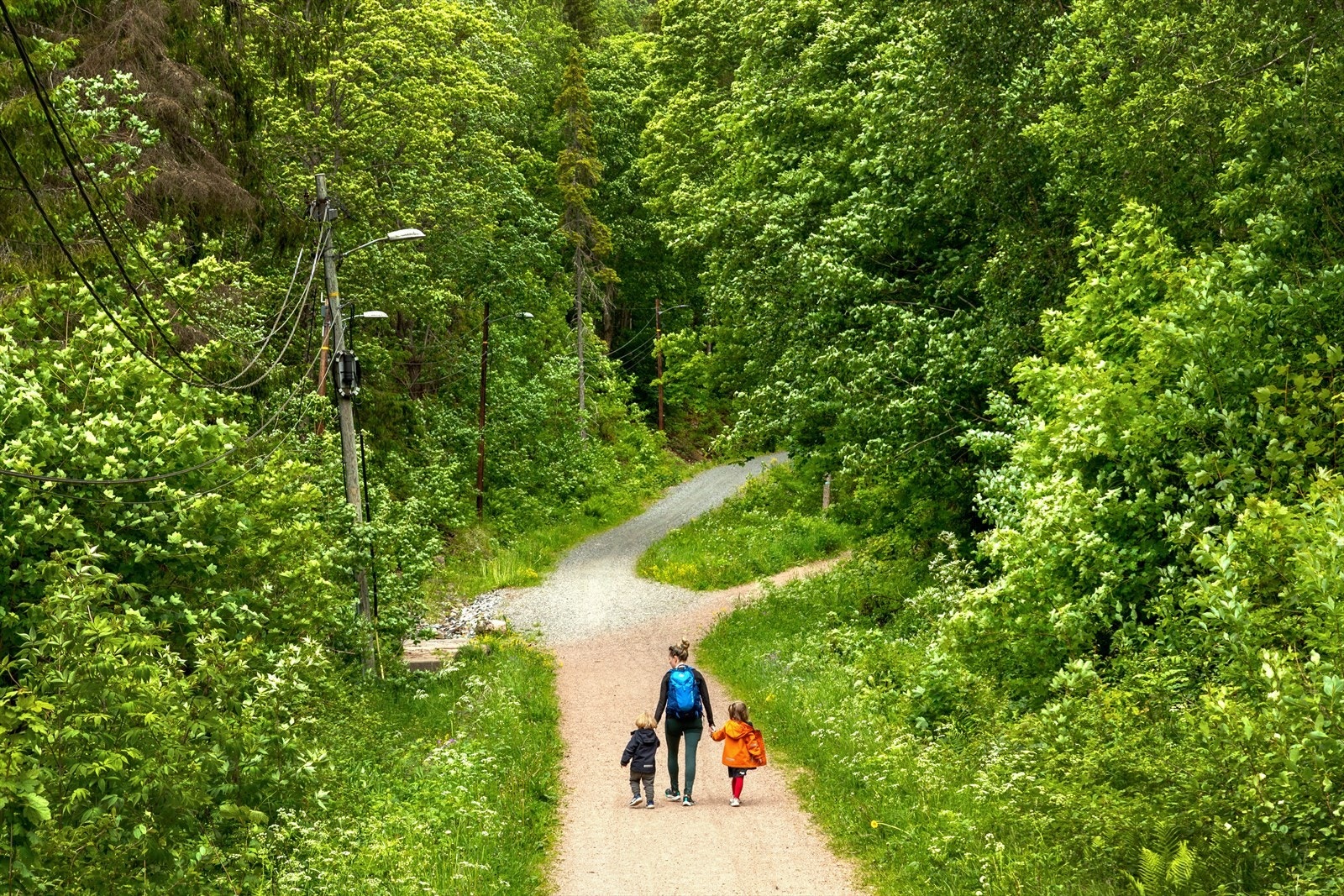 Her har du direkte utgang til nydelige turområder med milevis med spaserstier og turveier Galleribilde