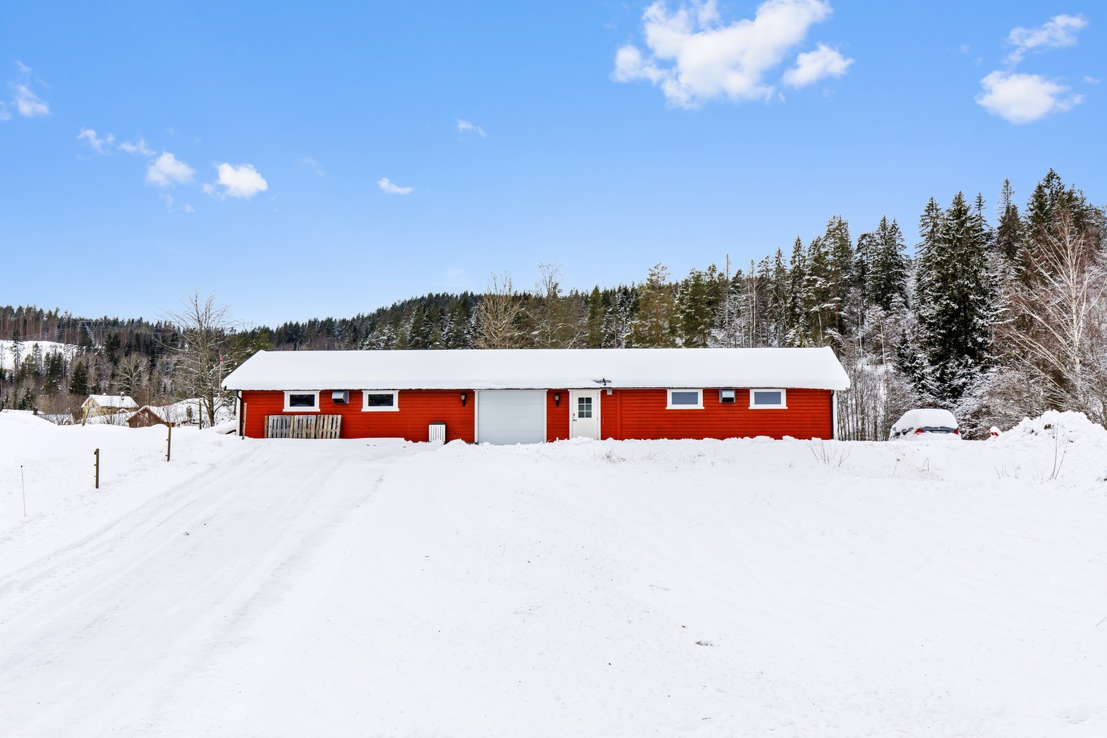 Dette er hønsehuset Galleribilde
