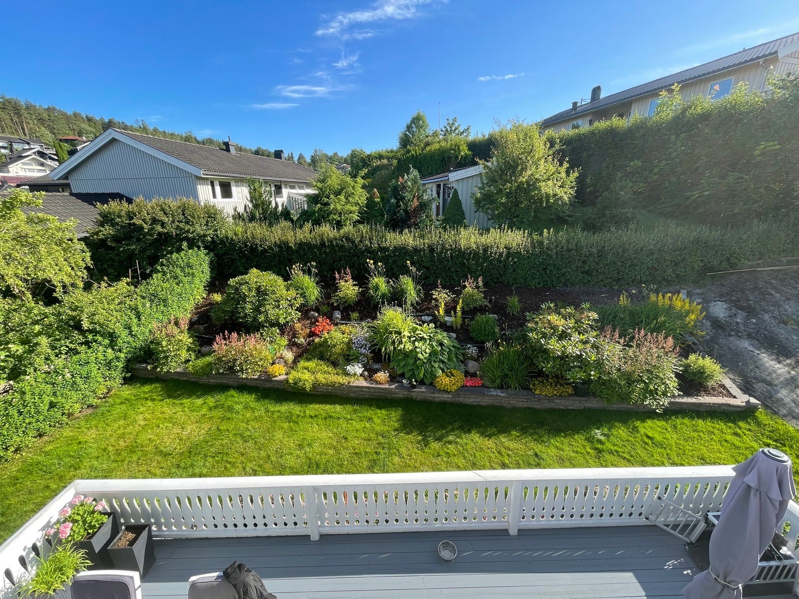 Sommerbilde fra hagen Galleribilde