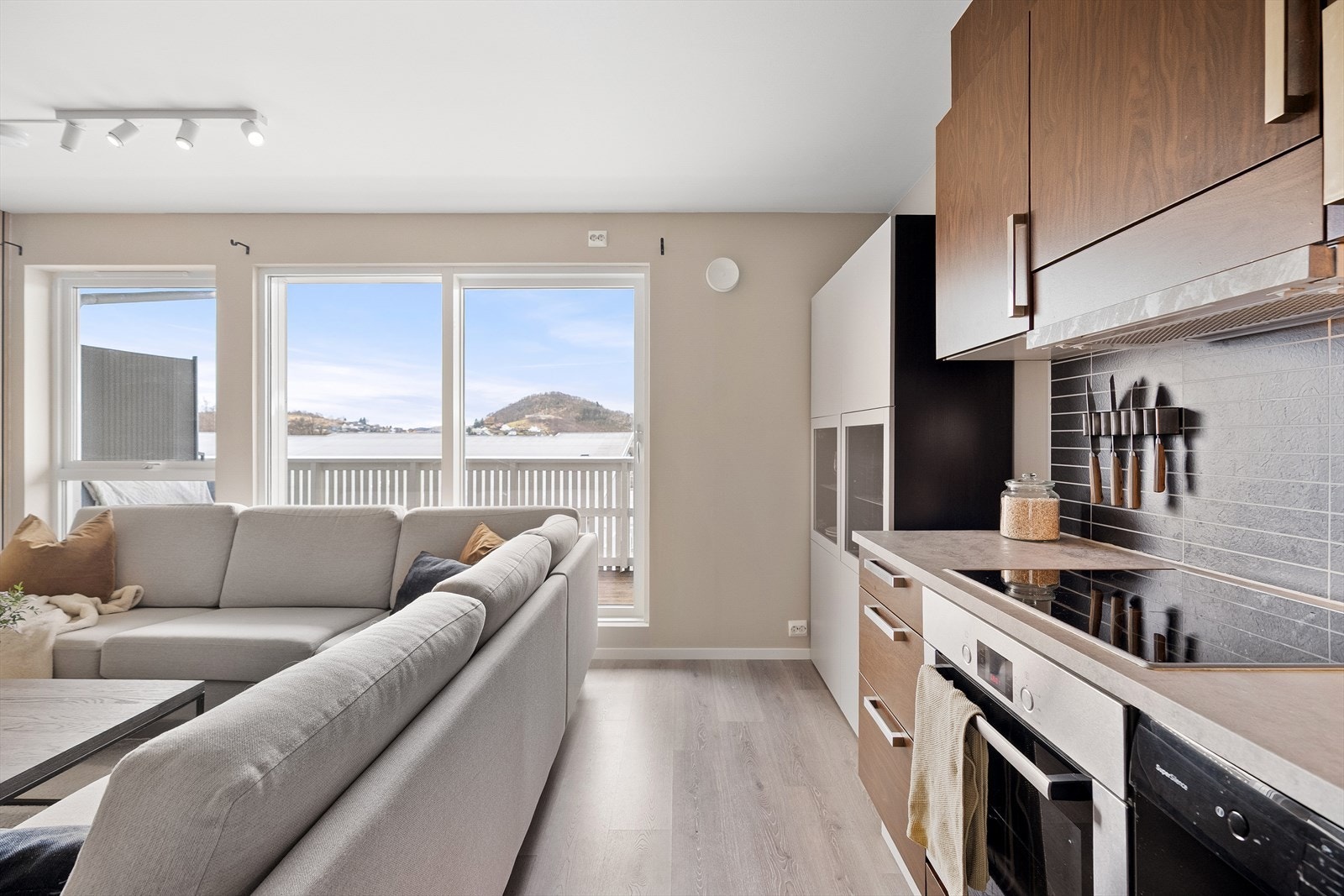 Fra stuen kan du sige sømløst ut til balkongen. Galleribilde