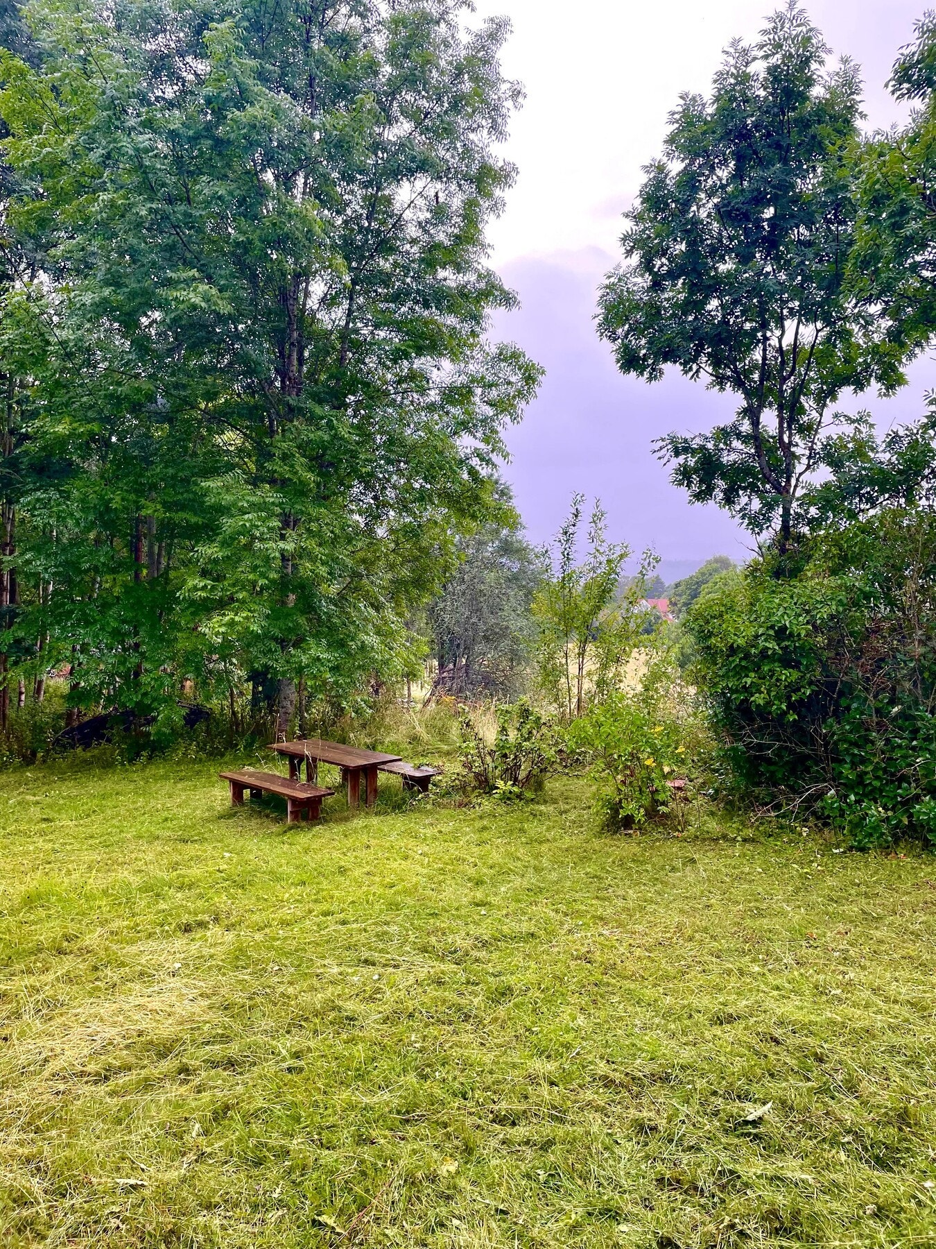 Koselig spiseplass i hagen med kveldssol og utsikt. (Selgers private foto) Galleribilde