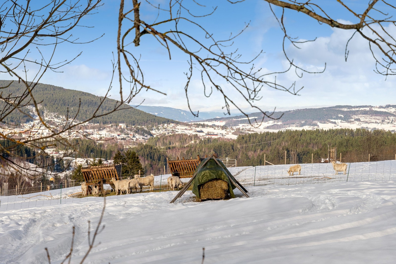 Utsikt mot Jevnaker og Randsfjorden. Galleribilde