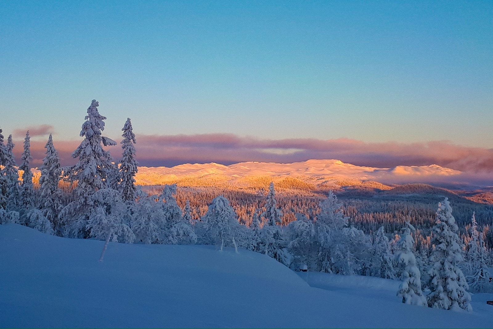 Selgers private bilde. Galleribilde