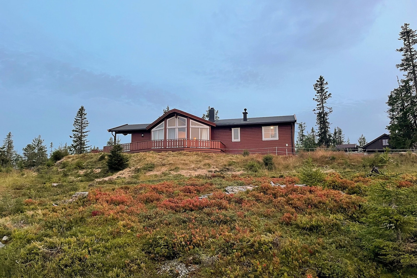 Selgers private bilde. Galleribilde