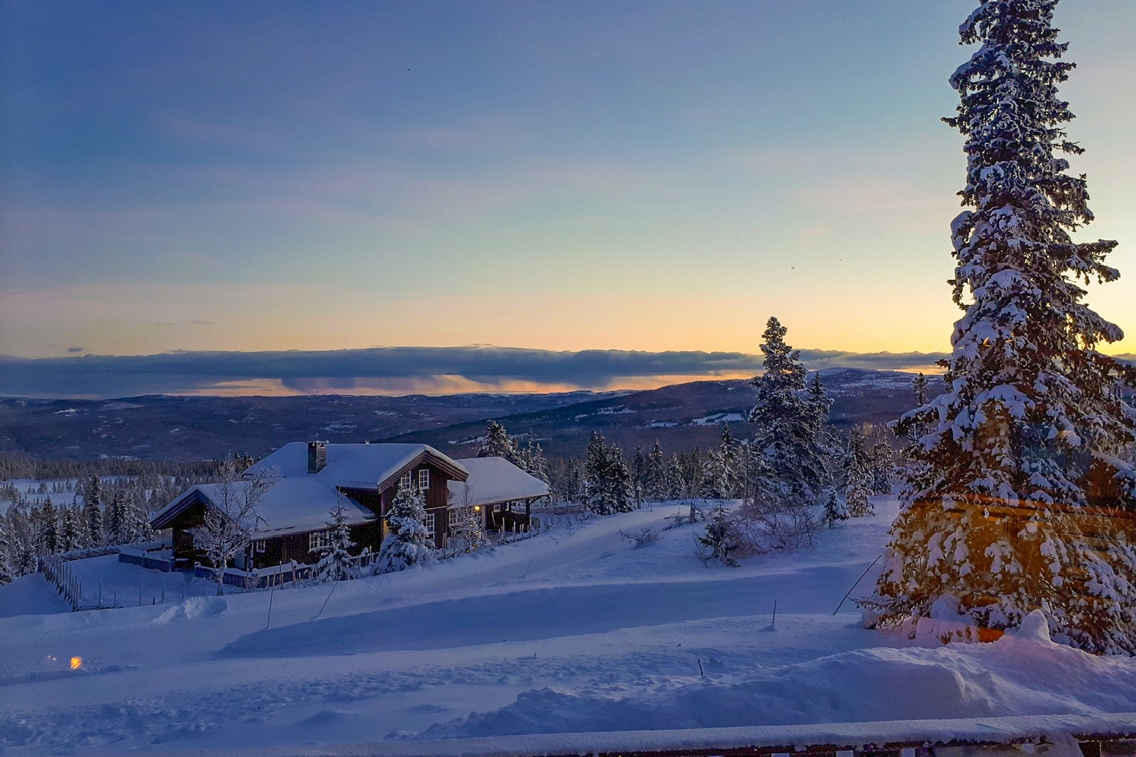 Selgers private bilde. Galleribilde