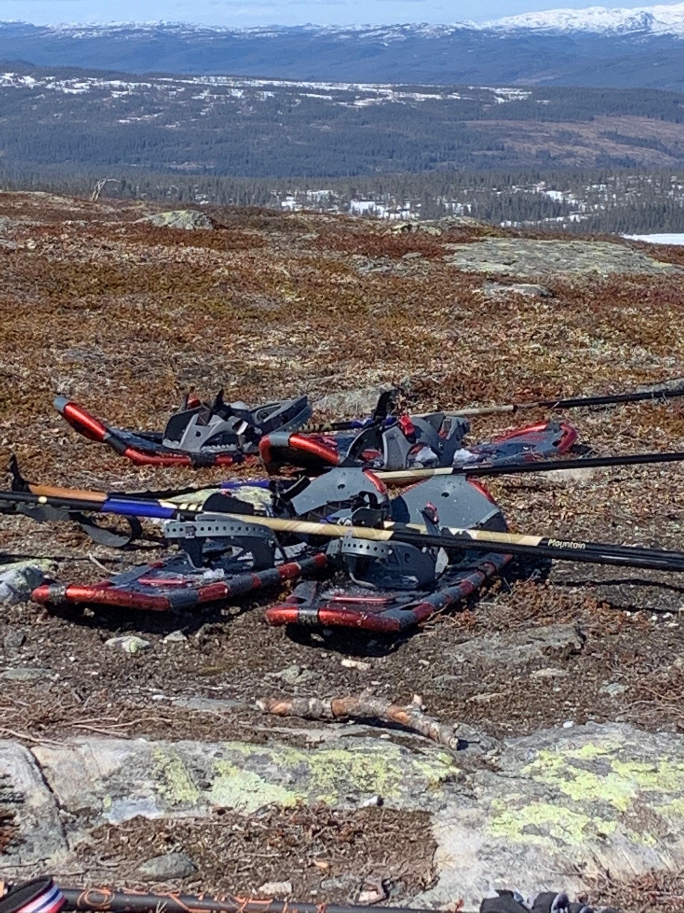 Selgers private bilde. Galleribilde