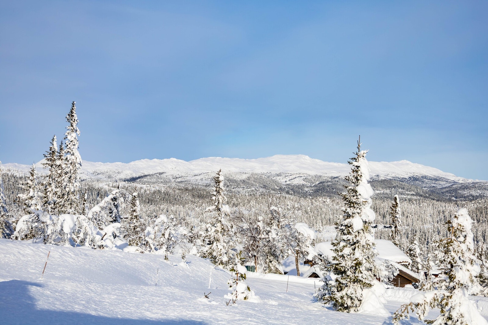 Utsikt fra terrassen Galleribilde