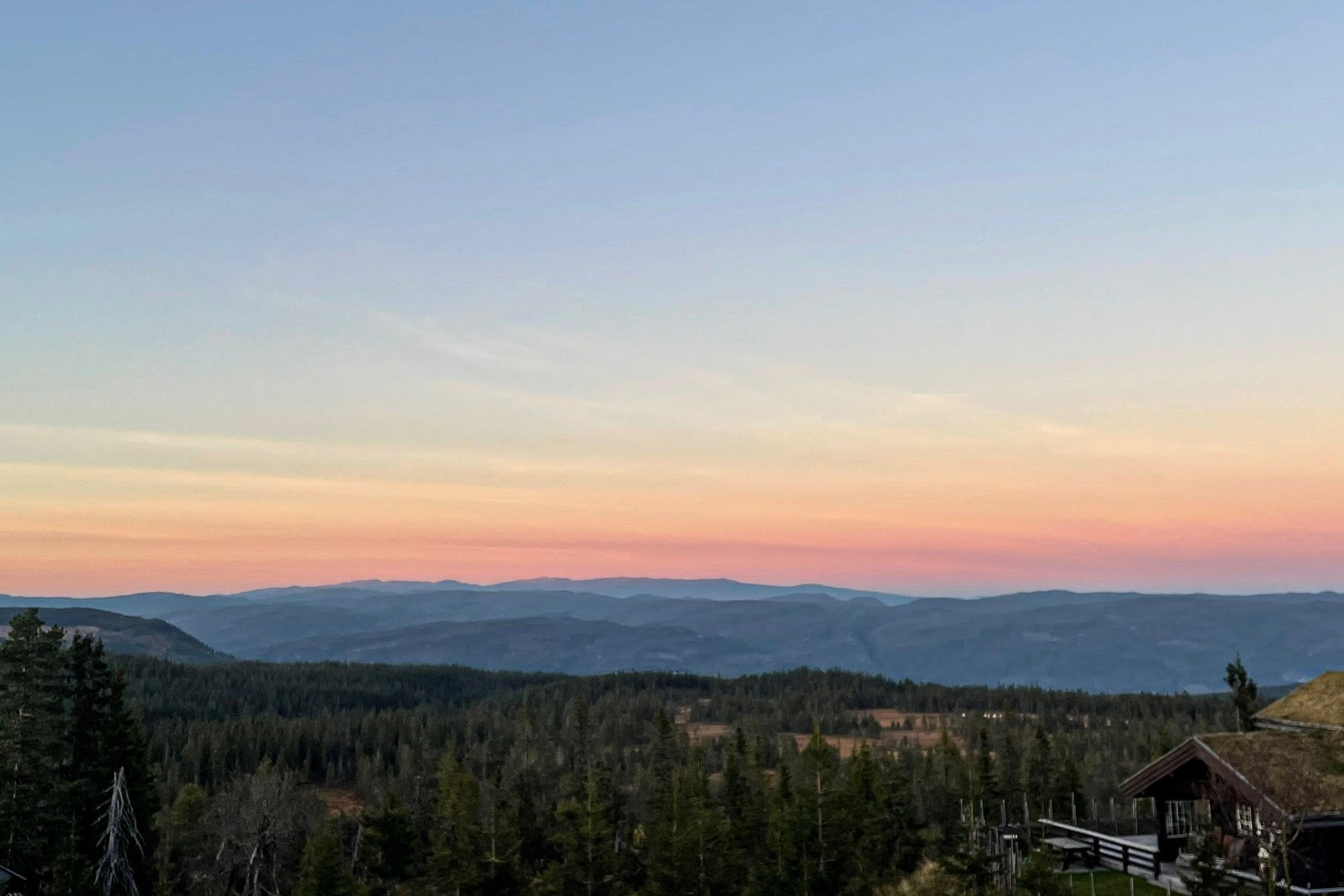 Selgers private bilde. Galleribilde