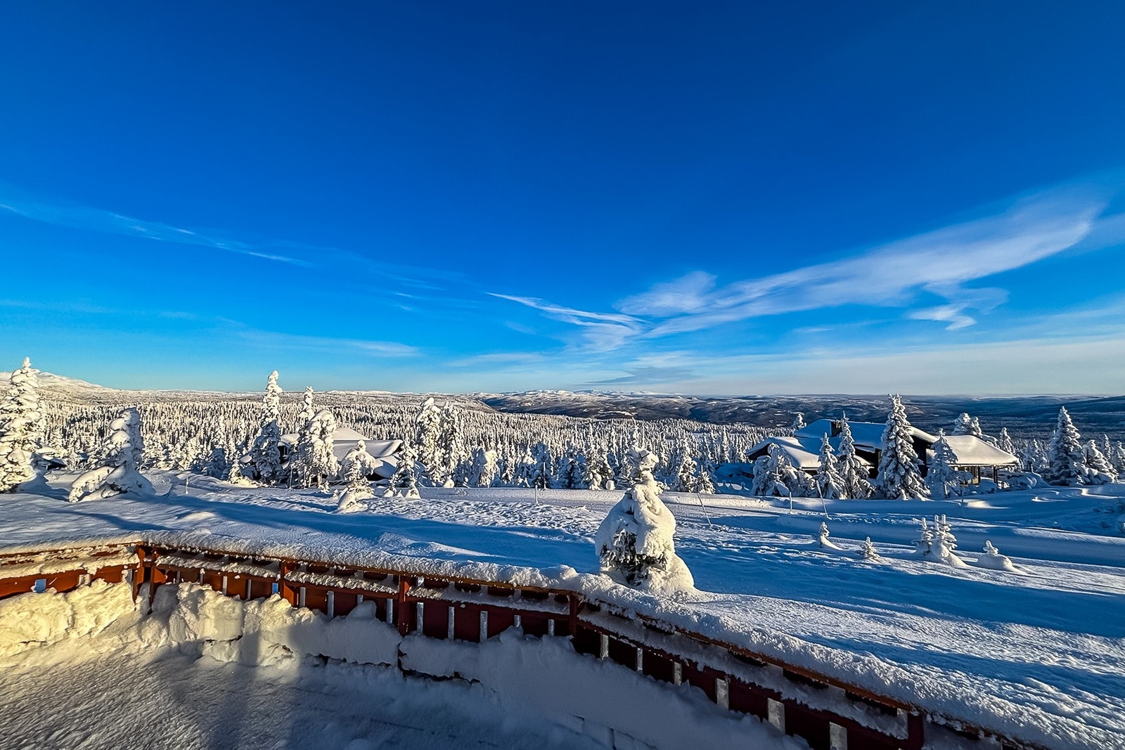 Selgers private bilde. Galleribilde