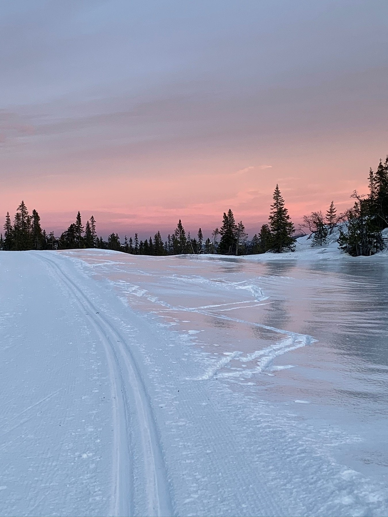 Selgers private bilde. Galleribilde