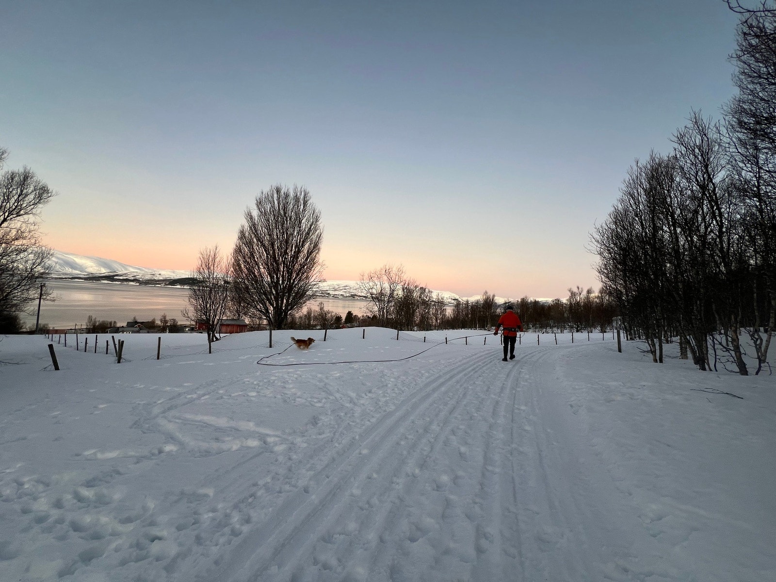 Selgers private bilder Galleribilde