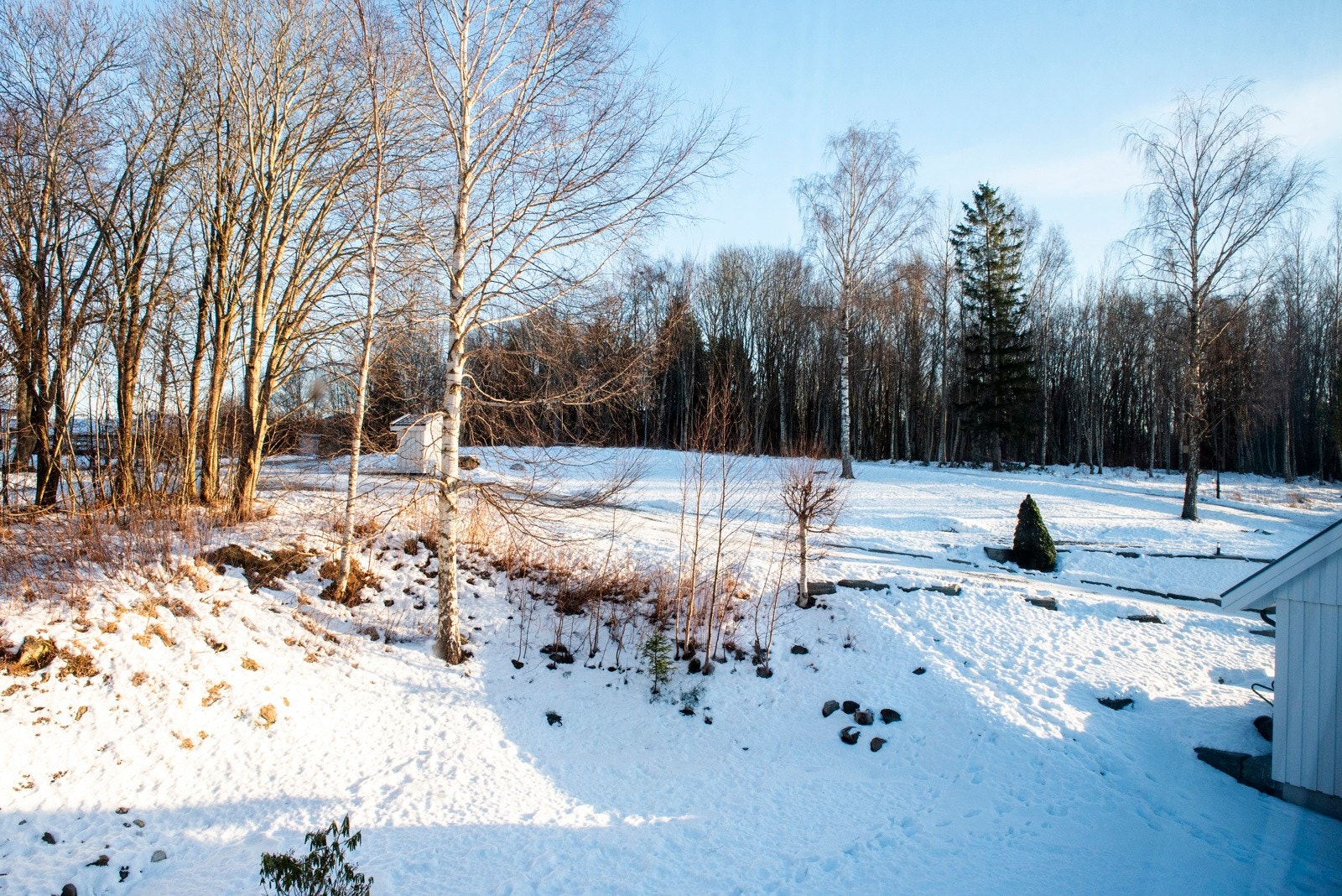 Friareal. Galleribilde