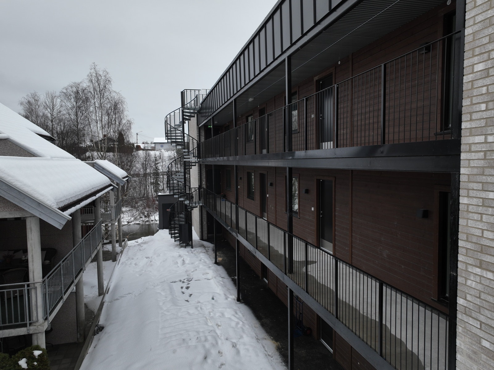 Svalganger Galleribilde