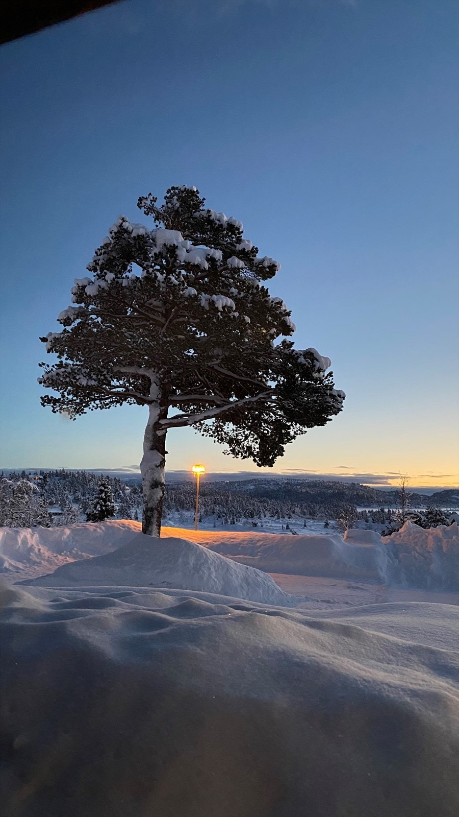 Selgers egne bilder (3).jpg Galleribilde