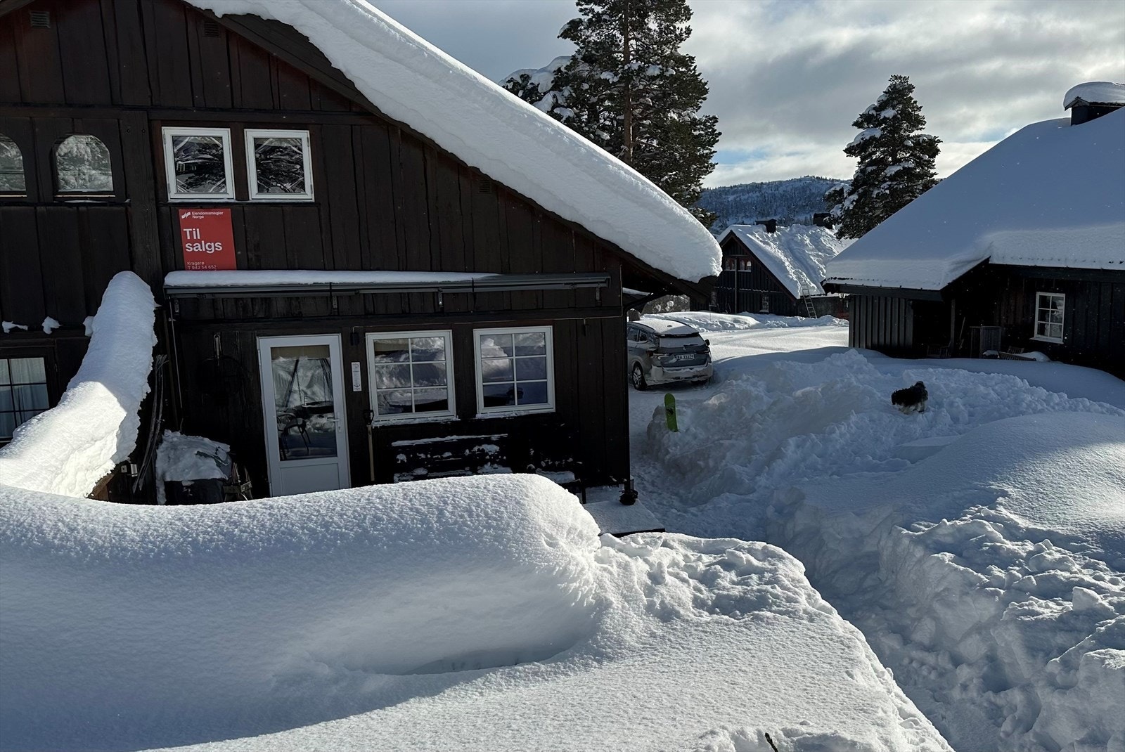 Selgers private bilder. Galleribilde