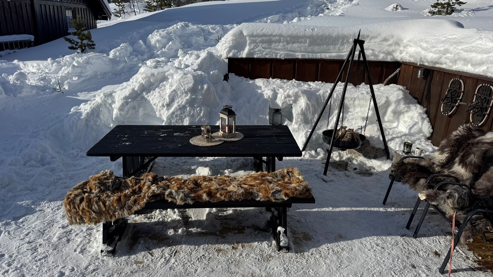 Selgers private bilder. Galleribilde