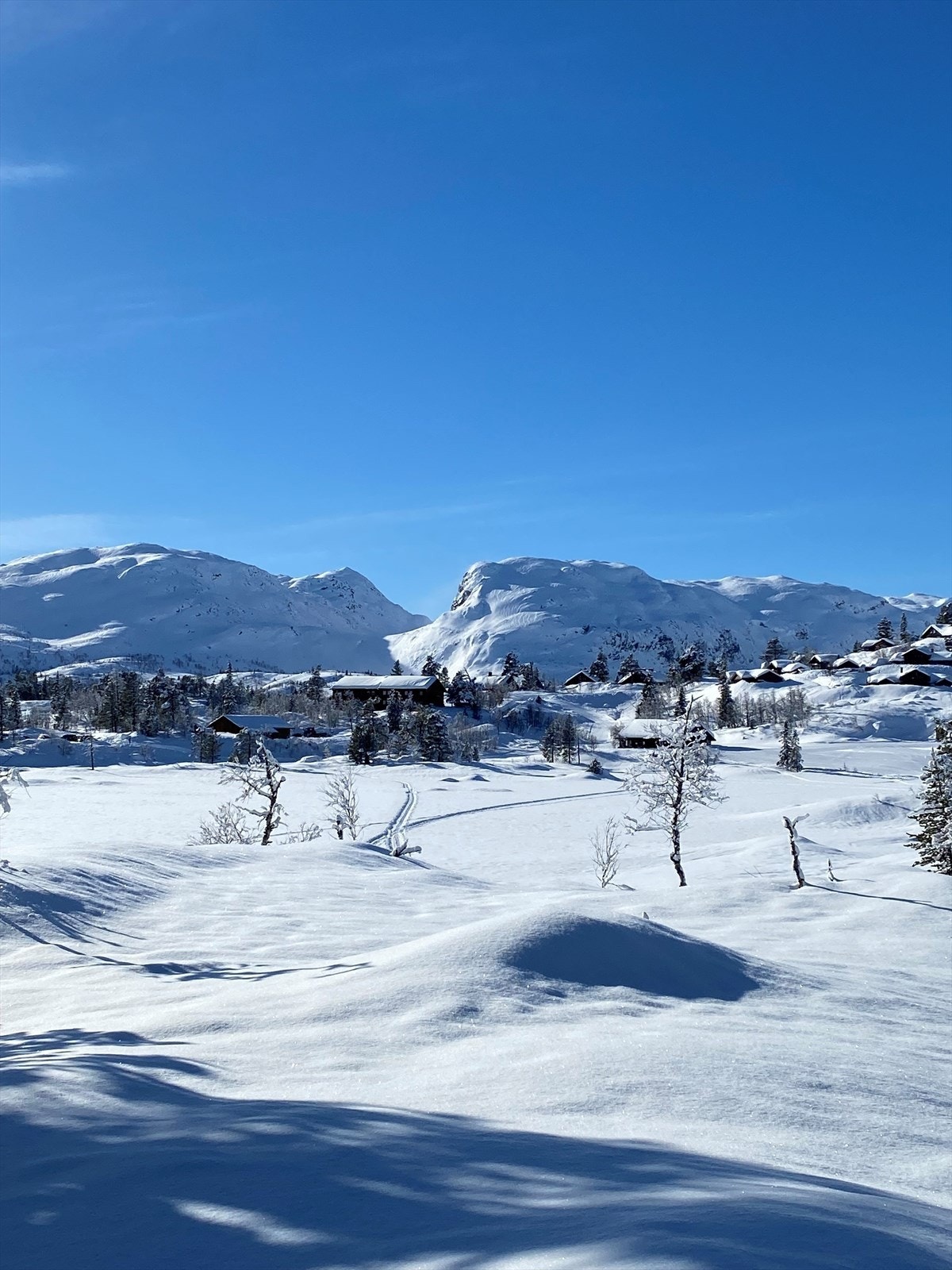 Selgers private bilder. Galleribilde