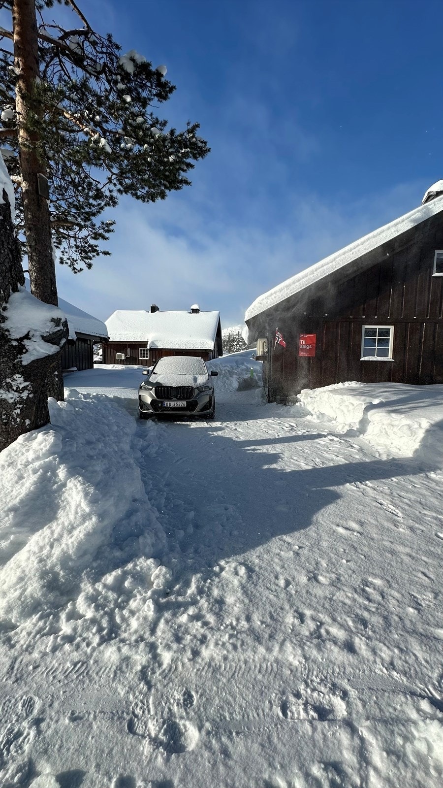 Selgers private bilder. Galleribilde