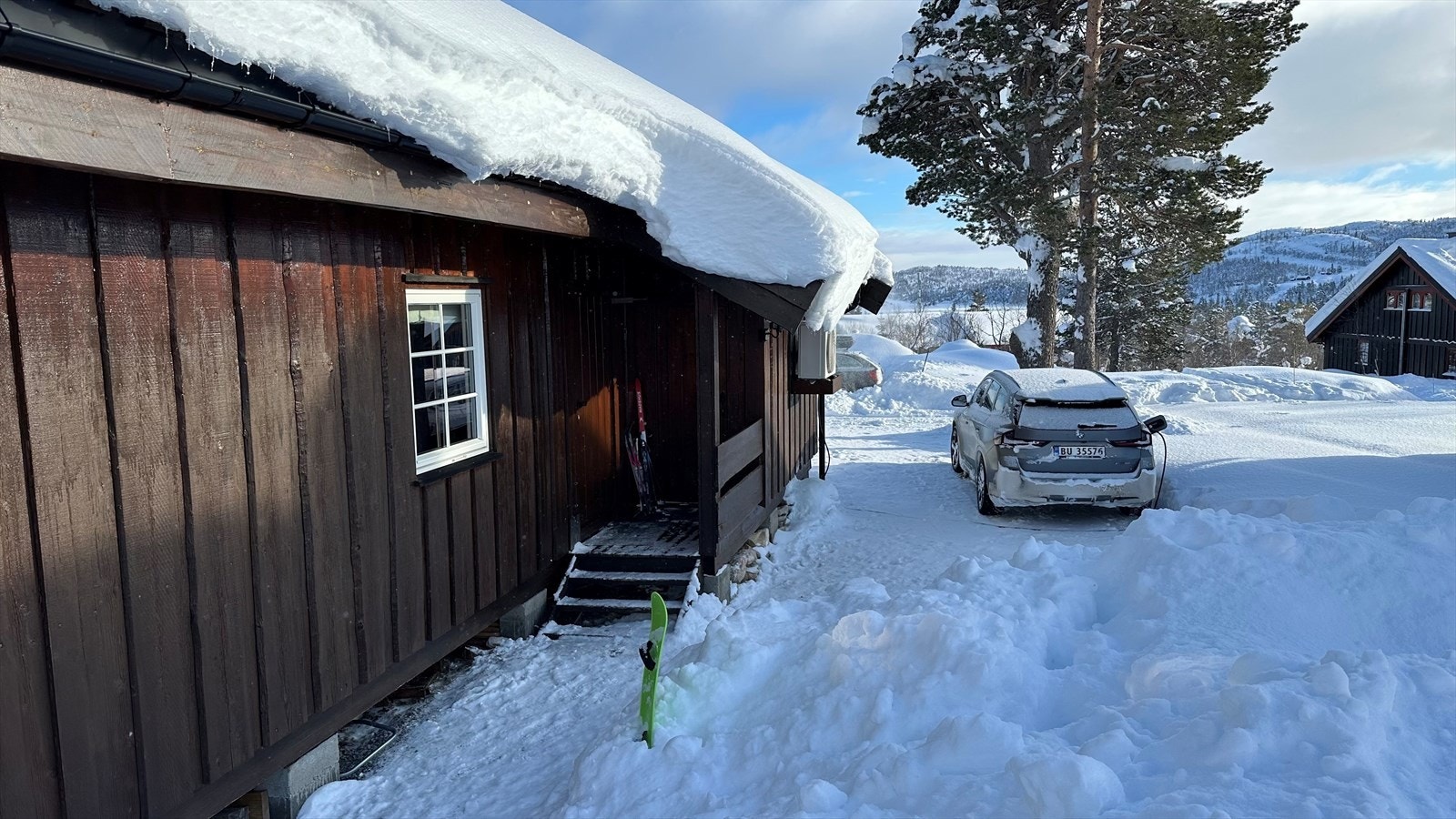 Selgers private bilder. Galleribilde